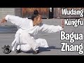 Wudang kung fu  bagua zhang 