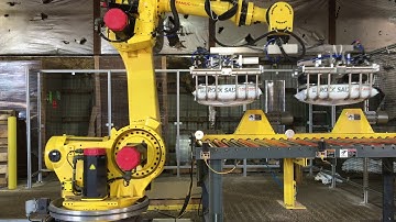 Robotic Palletizing