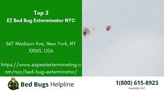 Top 3 Bed Bug Removal in Homewood