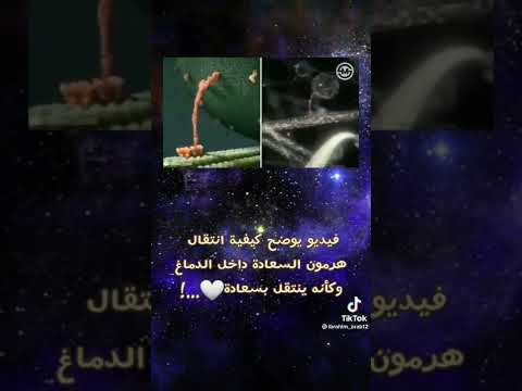 طريقة انتقال هرمون السعادة داخل الدماغ وكأنه يمشي بسعادة
