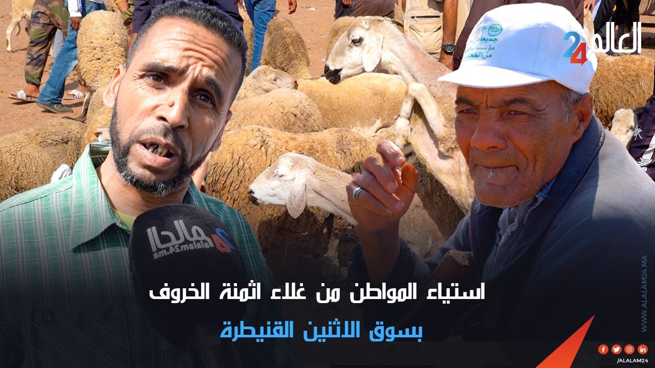 استيـ ـاء المواطن من غلاء اثمنة الخروف بسوق الاثنين القنيطرة