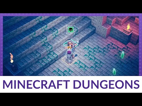 ვიდეო: როგორ დააყენოთ და ამოიღონ კერძო ქსელი MineCraft- ში
