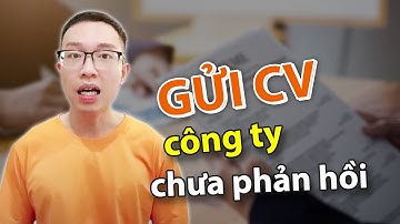 Phải Làm Sao Khi Gửi CV Mà Chưa Thấy Công Ty Phản Hồi? | Tự Tin Vào Đời