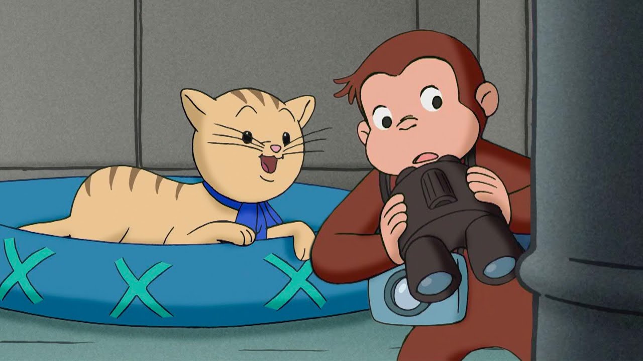 ジョージ、猫探偵になる！ | 全編 🐵 おさるのジョージ