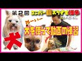 第2回 犬を使って動画の練習ぶぁい!?