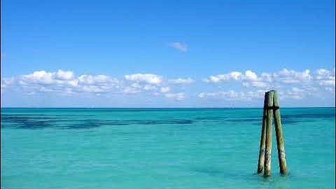 سورة طه بصوت القارئ يحي احسايني