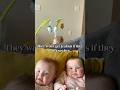 You guys SEE her back there right?#triplets #siblings #sahm #momtips #babyjumper