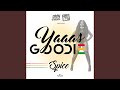 Miniature de la vidéo de la chanson Yaaas Goodie