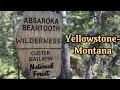 Hiking in Yellowstone— Grizzly Bear Country