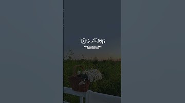 ربنا عليك توكلنا و إليك أنبنا و إليك المصير || القارئ: رعد الكردي