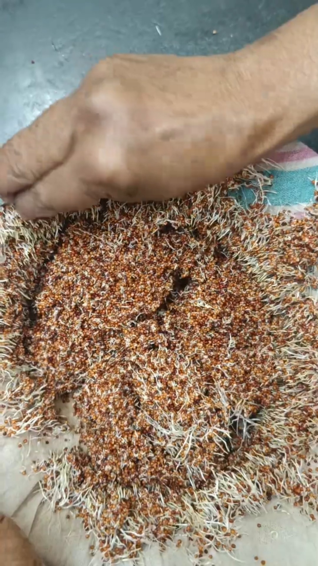 😍 ನನ್ನ ಸ್ಟೇಟಸ್ - ShareChat