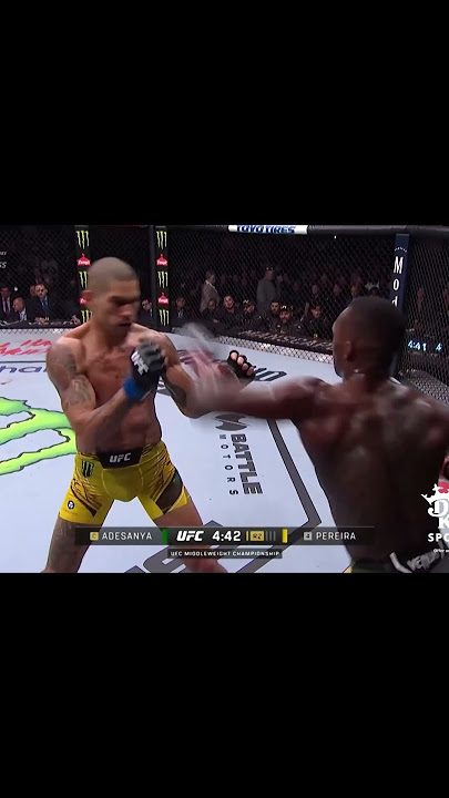 🤣Funny UFC fight with sound effect