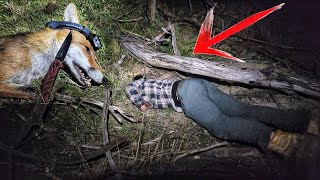 Shot This Fox & It Went Down A Wombat Hole! Olight Array 2 PRO Review + Rubato G10 Oknife Review by Tony Gillahan 1,175 views 5 months ago 7 minutes, 18 seconds