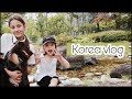 В Корее едят собак, наше мнение/ Семейный ужин/ KOREA/ VLOG/