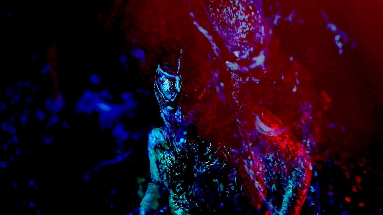 DDCP MUSIC VIDEO FOR SHATTER THE WOLF BY ANIFAIL