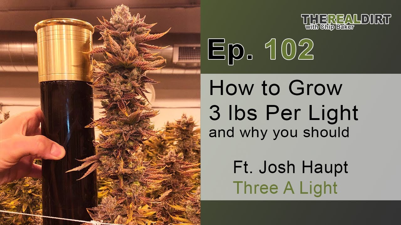 How To Grow Three Pounds Per Light Ft. Josh Haupt [Three A Light]