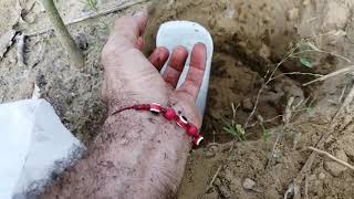 Sistema de riego solar - ¡Mantén tus plantas con vida en un terreno seco!