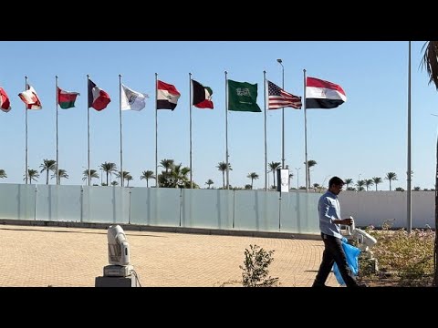  -        - -
 - نشر قبل 9 دقيقة