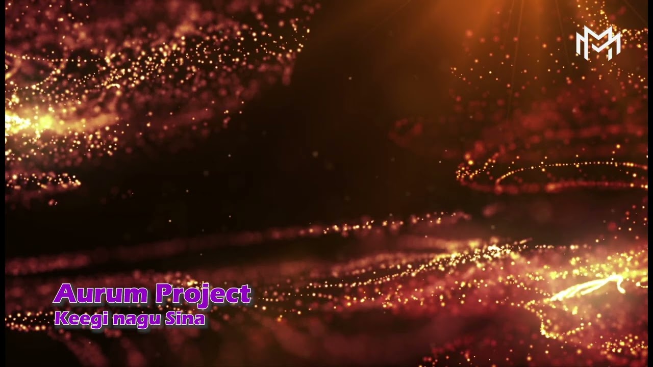 Aurum Project - Keegi nagu Sina (Somebody Like You)