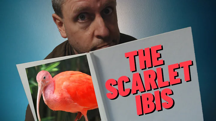 Remote Narration - The Scarlet Ibis