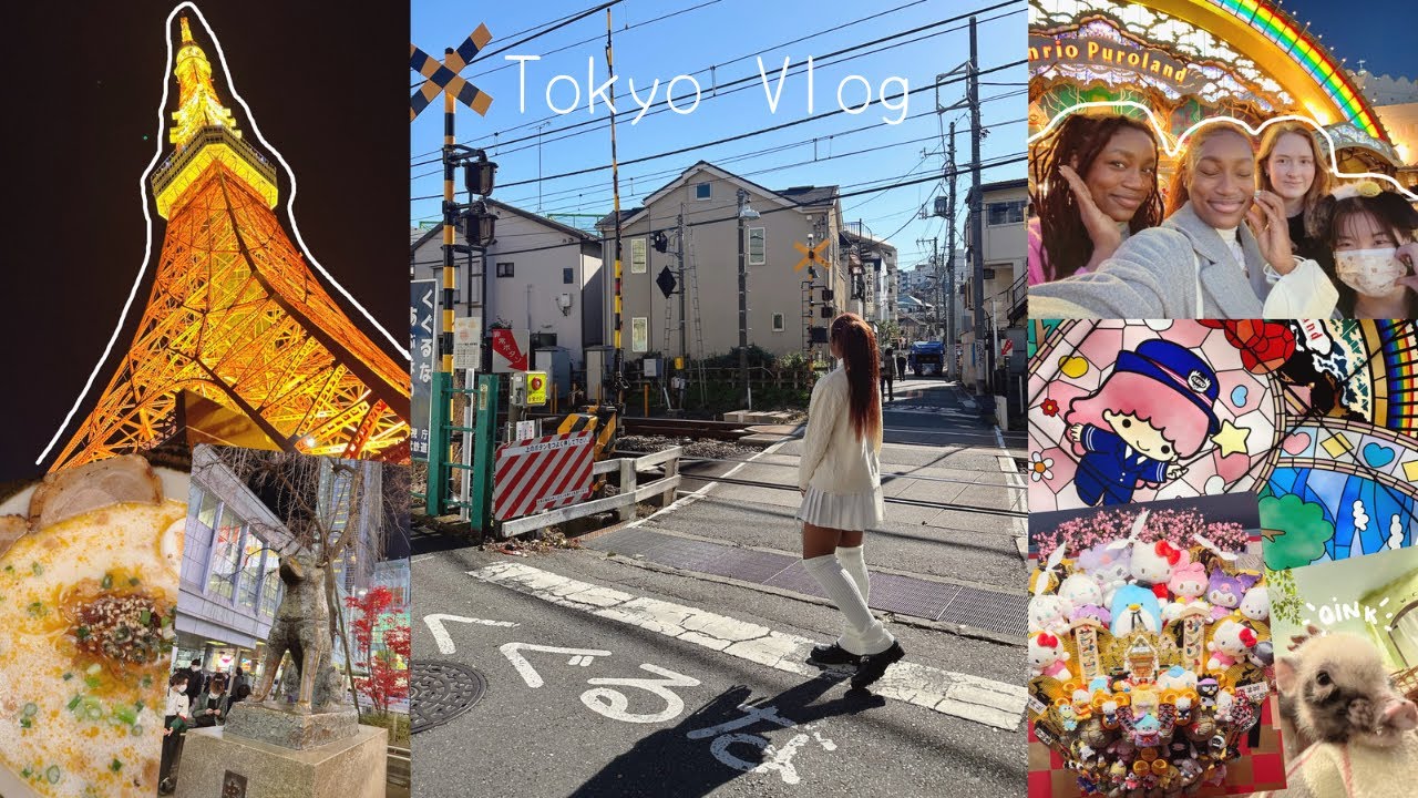 Japan Vlog Pt 1 Sanrio Puroland Mini Pig Cafe Tokyo Tower And japan-vlog-pt-1-sanrio-puroland-mini-pig-cafe-tokyo-tower-and