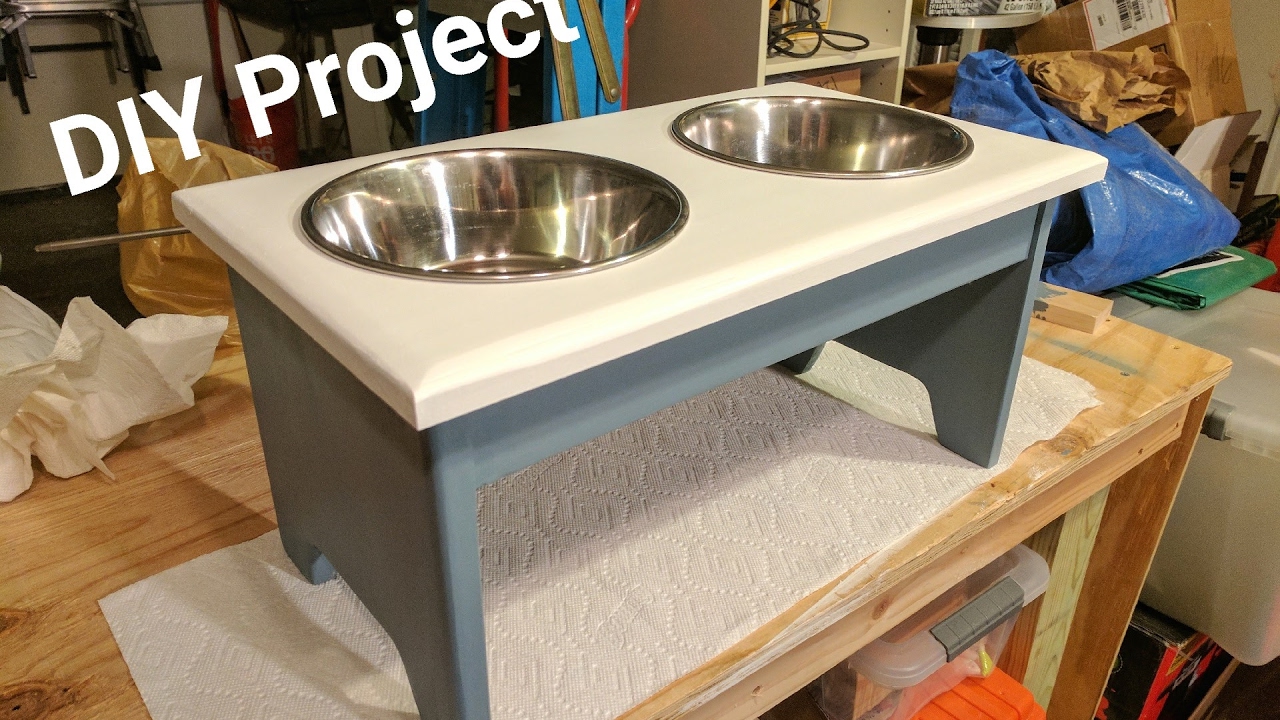 How to Build a DIY Elevated Dog Food Stand
