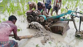 power tiller পাওয়ার টিলার  in village  muddy land by tos vlog part 45