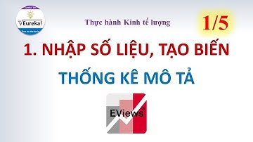 Eviews 4 | 1. Thao tác với số liệu: Nhập-Xuất và Thống kê Mô tả số liệu _ Kinh tế lượng