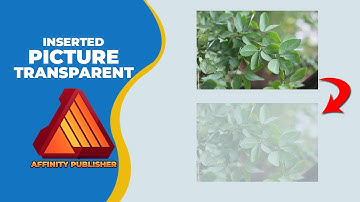 How to make inserted picture transparent in affinity publisher