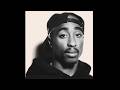 [FREE] 2Pac Old School Hip Hop Type Beat - "Somebody Done F**ked Up"
