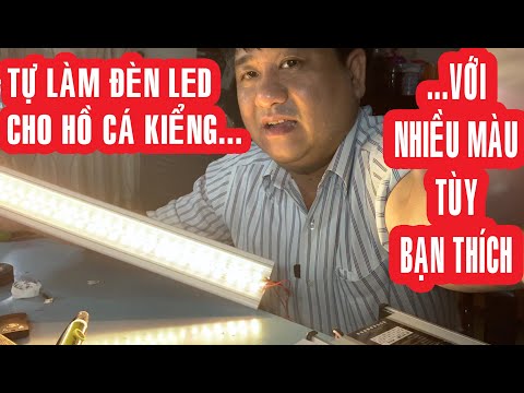 Video: Dải đèn LED Hồ Cá: Làm Thế Nào để Chọn đèn LED Chiếu Sáng? Làm Thế Nào để Tự Làm đèn Chiếu Sáng Với Băng Diode Chống Thấm Nước?