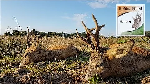Silver medal roebuck hunting with Robin Hood Hunti...