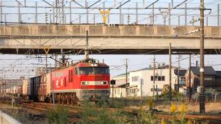 EF510-6 4060レ 越前花堂駅にて