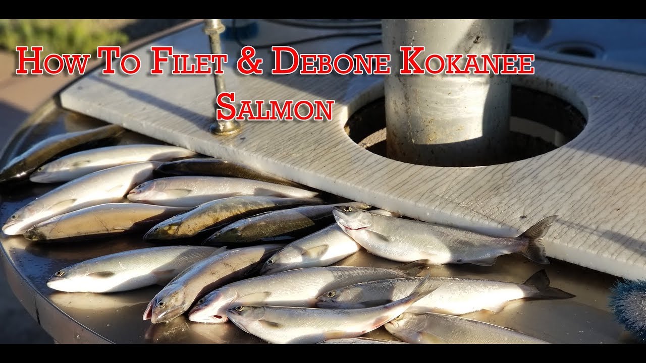 How to Filet & Debone Kokanee Salmon - YouTube