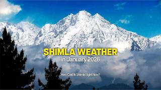 Today Shimla Temperature How Cold Is Shimla Right Now?