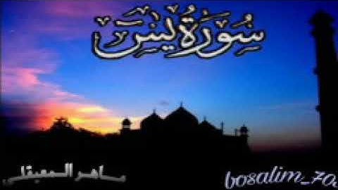 سورة ياسين(يس)كاملة ارح سمعك🎤.. تلاوة هادئة تريح القلب والعقل💙🎧|القارئ ماهر المعيقلي💙Surah Yasin 💙
