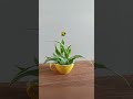 The "Name the Thought" Technique