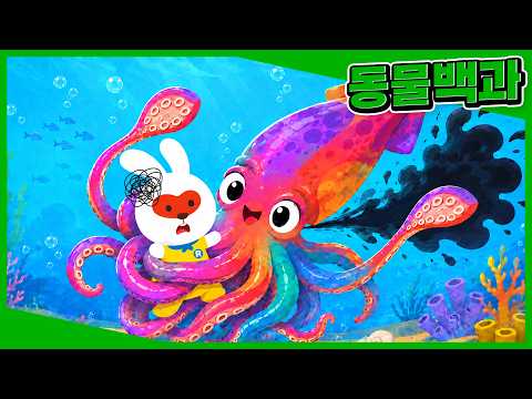 바다의 마술사 오징어🦑ㅣ어린이 동물ㅣ바다동물ㅣ자연관찰ㅣLet's go! 동물탐험대ㅣ프뢰벨키즈