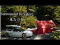 Solo HONDA NSX camping in deep forest with the clear water. Nature ASMR. Relaxing healing Cozy camp