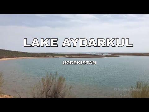 Video: Lago Aydarkul en Uzbekistán: foto con descripción