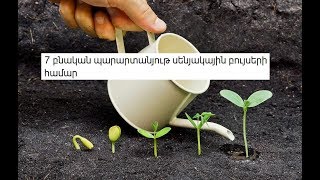 Download lagu 7 բնական պարարտանյութ սենյակային բույսերի համար որոնք կապահովեն առատ ծաղկում և աճ 7 բնական պարարտանյութ սենյակային բույսերի համար որոնք կապահովեն առատ ծաղկում և աճ