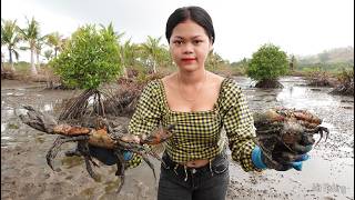 Catching Huge Mud Crabs in the Swamp After Low Tide | Amazing Woman Skills