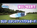 海なし埼玉県でＳＵＰ（スタンドアップパドルボード）だワッショ〜イ!!!