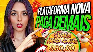 New Platform - New Platform Launched Today - Is The New Platform Paying Out? New Bet Platform 2026