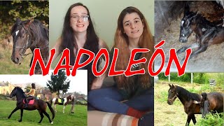 Como acabó NAPO siendo miembro permanente de esta FAMILIA! / HISTORIA NAPO