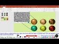 How to draw a spherical porous type structure using FESEM &amp; TEM image via Microsoft PowerPoint