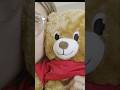 How to get a Build-A-Bear for cheap! #hack #buildabear #birthdaybear #birthdaycelebration #cheap