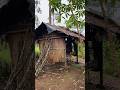 Escape the Noise: Heavy Rain in a Hidden Jungle Cabin #kangutub #cabinbliss #rain