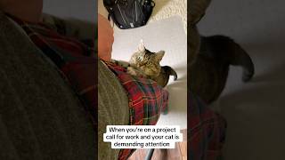 When you’re on a work call but your cat is demanding attention