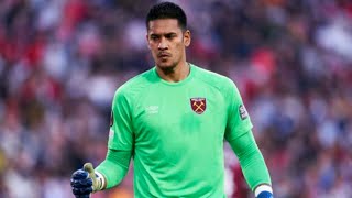 Alphonse Areola Best Saves West Ham Hd